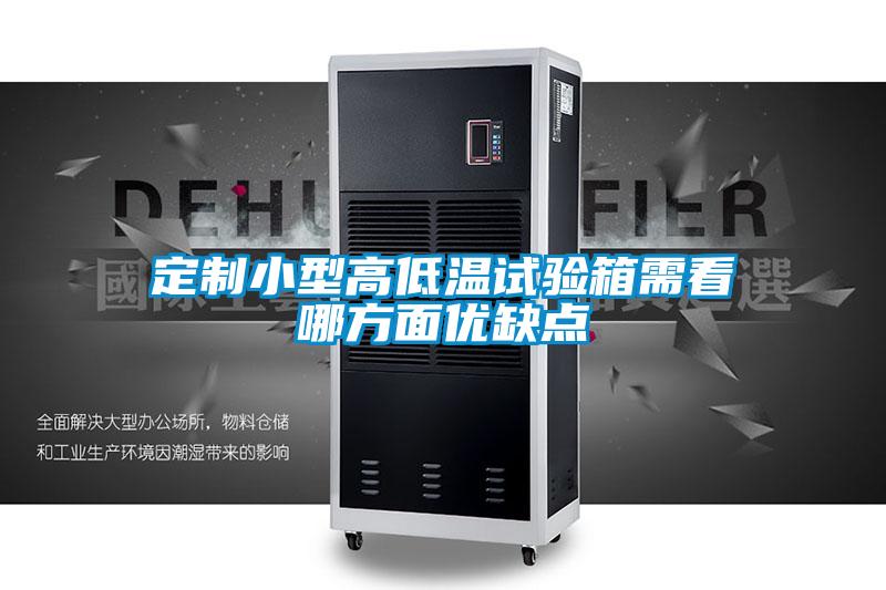 定制小型高低溫試驗箱需看哪方面優(yōu)缺點(diǎn)