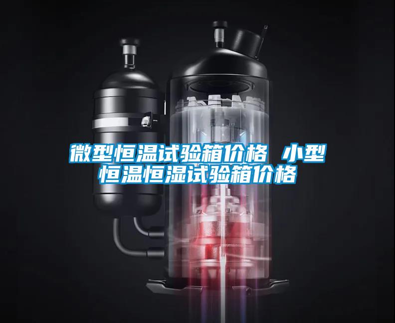 微型恒溫試驗箱價(jià)格 小型恒溫恒濕試驗箱價(jià)格