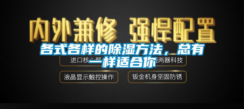各式各樣的除濕方法，總有一樣適合你