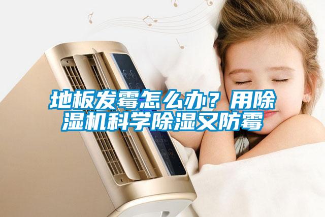 地板發(fā)霉怎么辦？用除濕機科學(xué)除濕又防霉