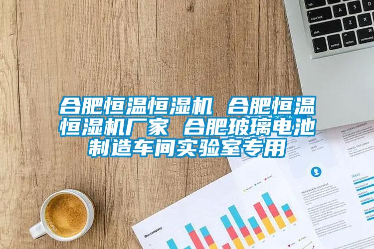 合肥恒溫恒濕機 合肥恒溫恒濕機廠(chǎng)家 合肥玻璃電池制造車(chē)間實(shí)驗室專(zhuān)用