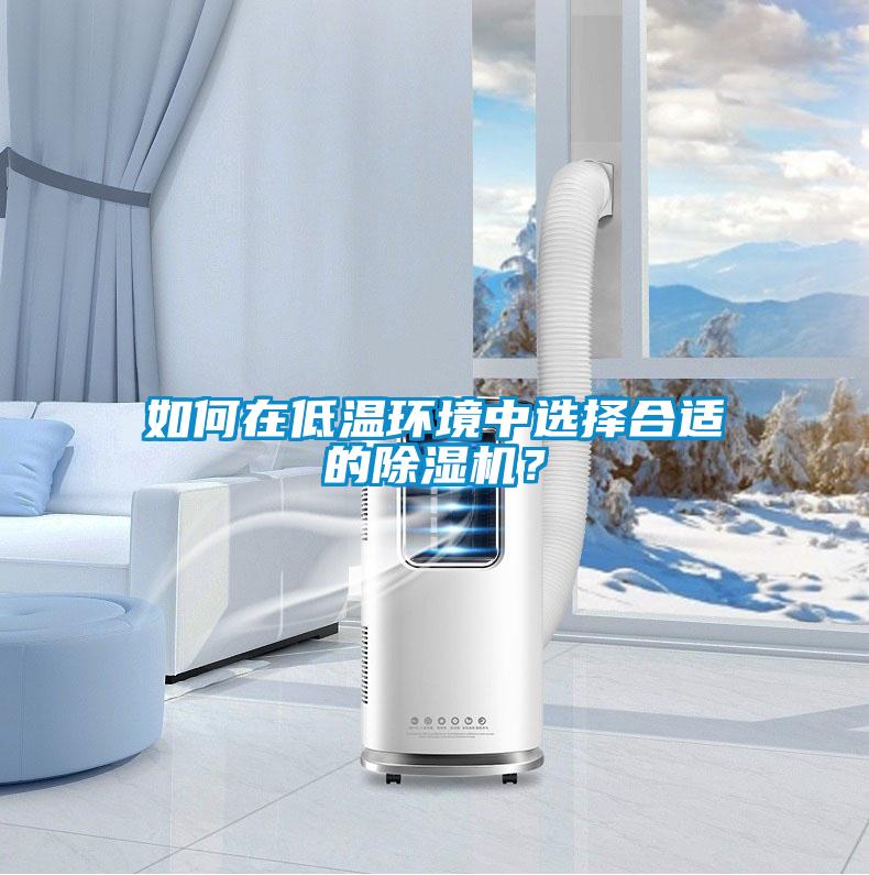如何在低溫環(huán)境中選擇合適的除濕機？