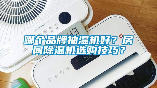 哪個(gè)品牌抽濕機好？房間除濕機選購技巧？