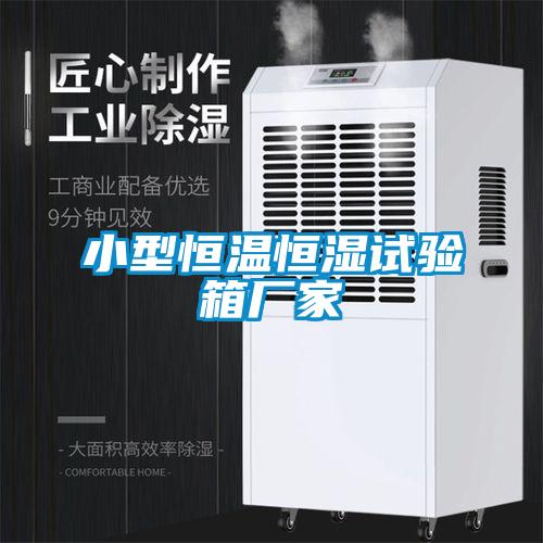 小型恒溫恒濕試驗箱廠(chǎng)家
