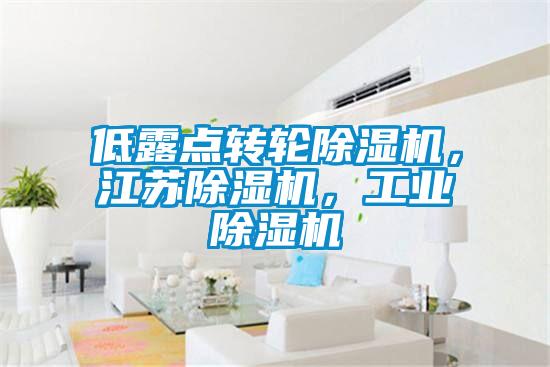 低露點(diǎn)轉輪除濕機，江蘇除濕機，工業(yè)除濕機