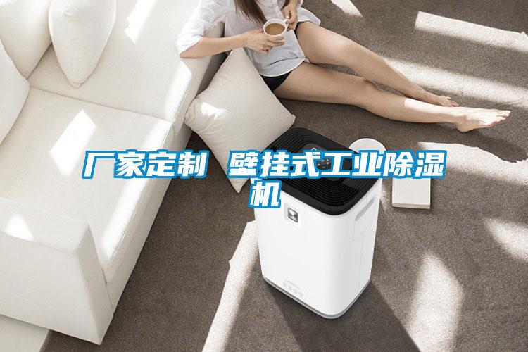 廠(chǎng)家定制 壁掛式工業(yè)除濕機