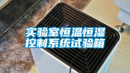 實(shí)驗室恒溫恒濕控制系統試驗箱