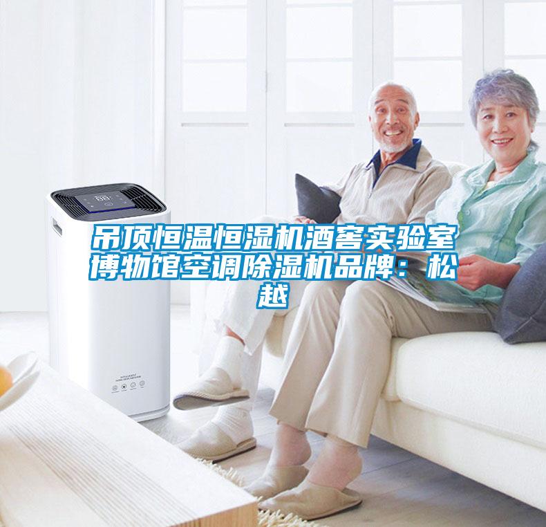 吊頂恒溫恒濕機酒窖實(shí)驗室博物館空調除濕機品牌：松越
