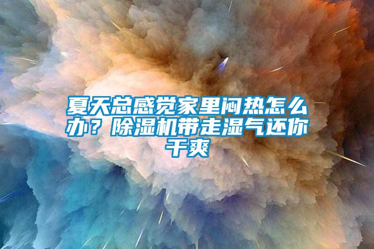 夏天總感覺(jué)家里悶熱怎么辦？除濕機帶走濕氣還你干爽