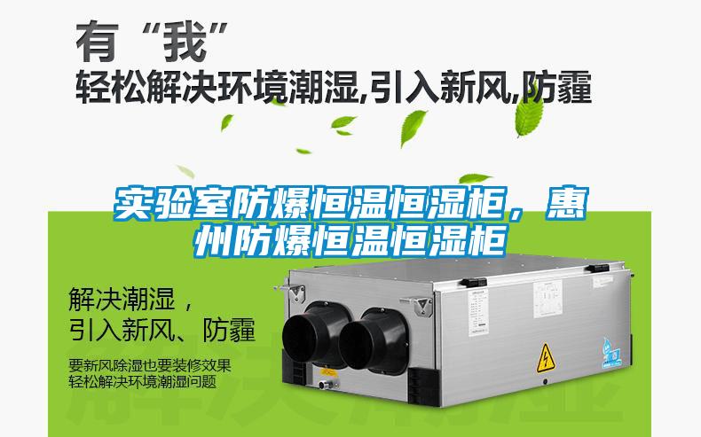 實(shí)驗室防爆恒溫恒濕柜，惠州防爆恒溫恒濕柜