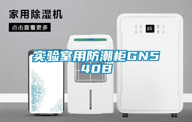 實(shí)驗室用防潮柜GN540B