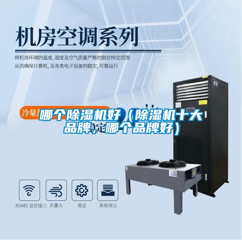 哪個(gè)除濕機好（除濕機十大品牌，哪個(gè)品牌好）