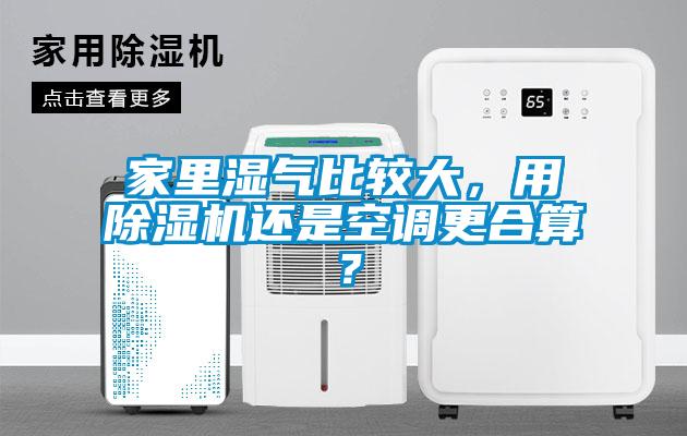 家里濕氣比較大，用除濕機還是空調更合算？