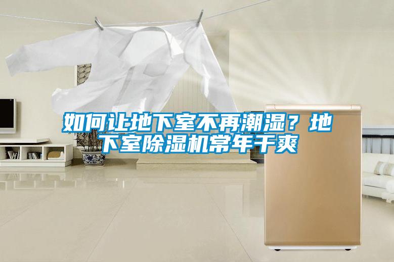 如何讓地下室不再潮濕？地下室除濕機常年干爽