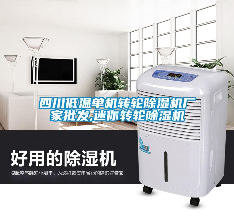 四川低溫單機轉輪除濕機廠(chǎng)家批發(fā),迷你轉輪除濕機