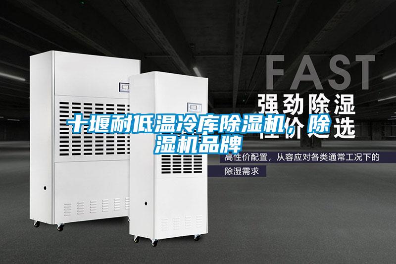十堰耐低溫冷庫除濕機，除濕機品牌