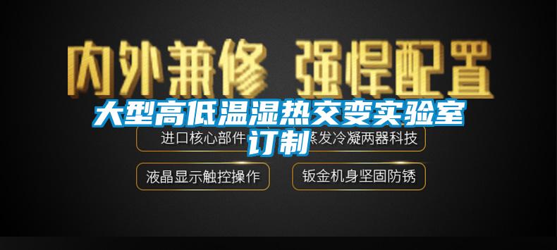 大型高低溫濕熱交變實(shí)驗室訂制