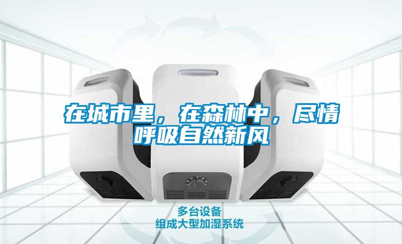 在城市里，在森林中，盡情呼吸自然新風(fēng)