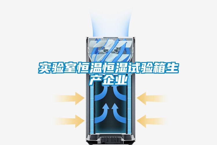 實(shí)驗室恒溫恒濕試驗箱生產(chǎn)企業(yè)
