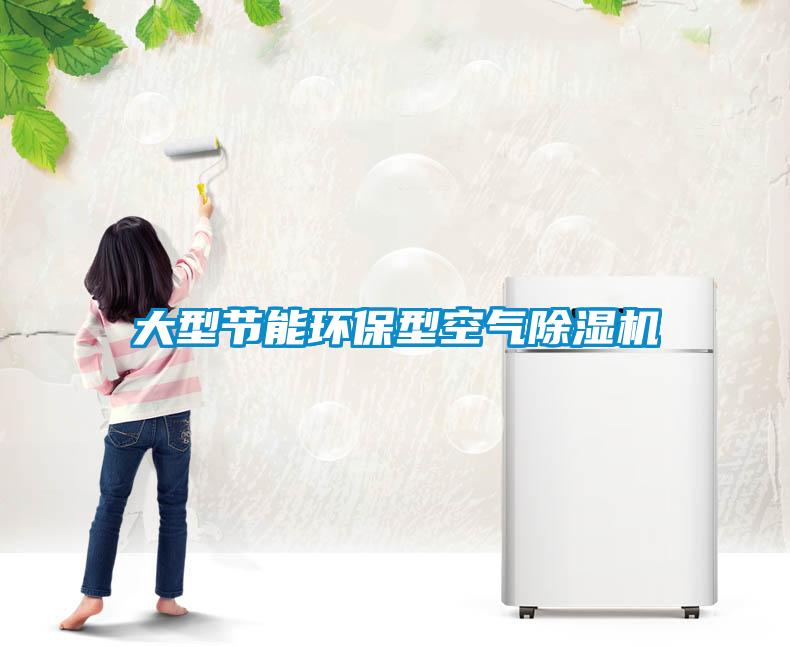 大型節能環(huán)保型空氣除濕機