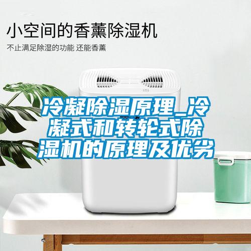 冷凝除濕原理_冷凝式和轉輪式除濕機的原理及優(yōu)劣
