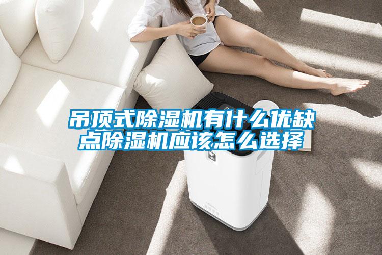 吊頂式除濕機有什么優(yōu)缺點(diǎn)除濕機應該怎么選擇