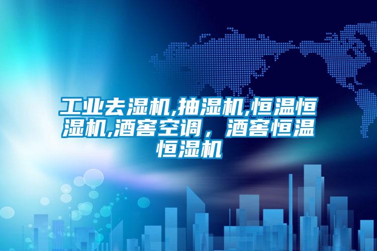 工業(yè)去濕機,抽濕機,恒溫恒濕機,酒窖空調，酒窖恒溫恒濕機