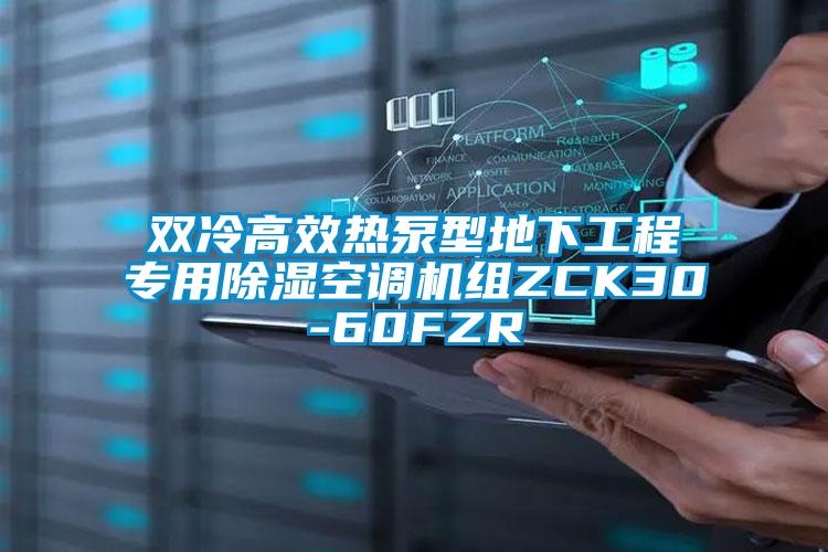 雙冷高效熱泵型地下工程專(zhuān)用除濕空調機組ZCK30-60FZR