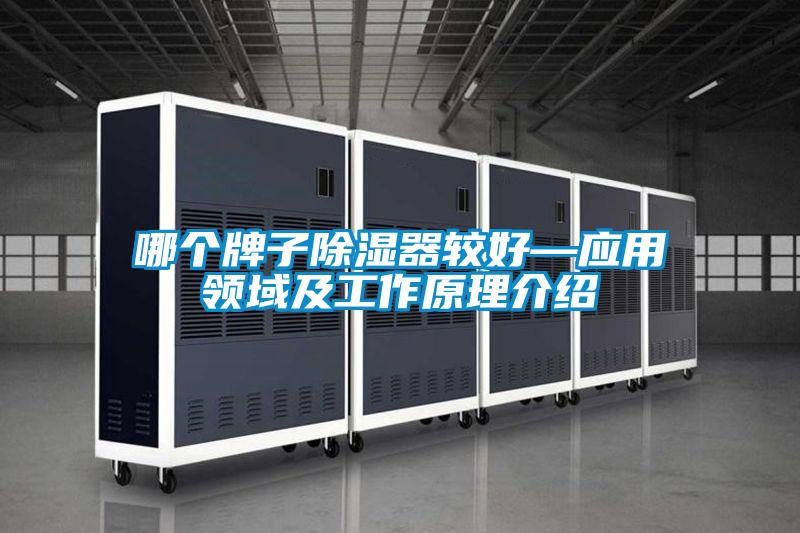 哪個(gè)牌子除濕器較好—應用領(lǐng)域及工作原理介紹