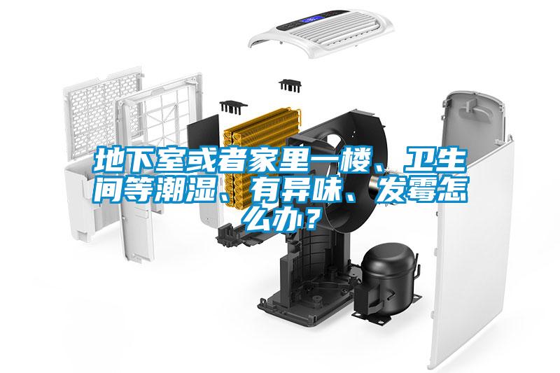 地下室或者家里一樓、衛生間等潮濕、有異味、發(fā)霉怎么辦？