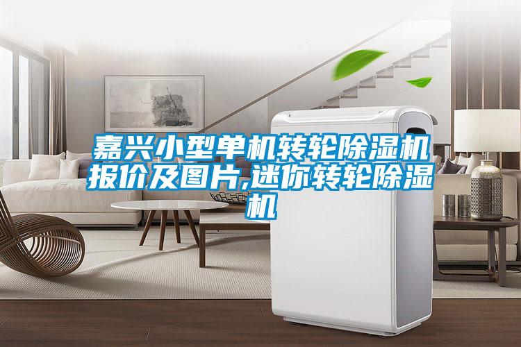 嘉興小型單機轉輪除濕機報價(jià)及圖片,迷你轉輪除濕機
