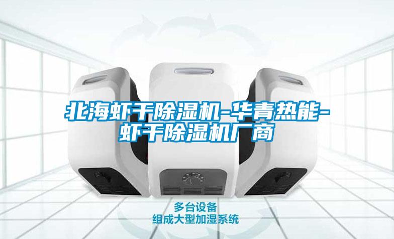 北海蝦干除濕機-華青熱能-蝦干除濕機廠(chǎng)商