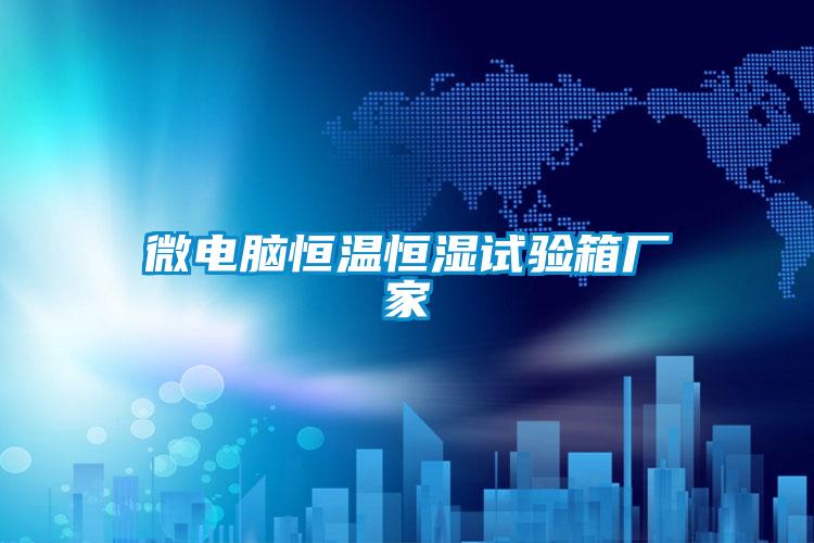 微電腦恒溫恒濕試驗箱廠(chǎng)家