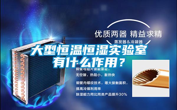 大型恒溫恒濕實(shí)驗室有什么作用？