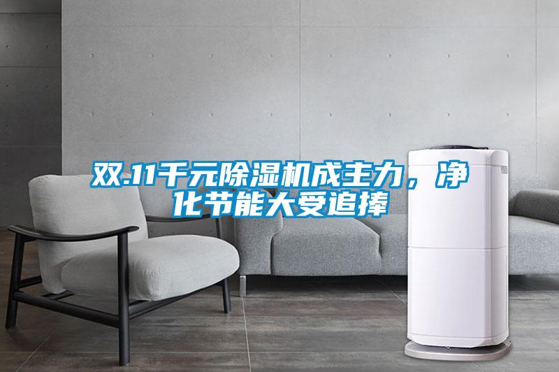 雙.11千元除濕機成主力，凈化節能大受追捧