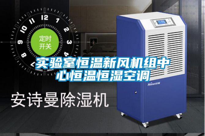 實(shí)驗室恒溫新風(fēng)機組中心恒溫恒濕空調