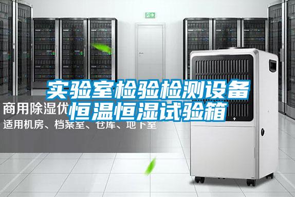 實(shí)驗室檢驗檢測設備恒溫恒濕試驗箱