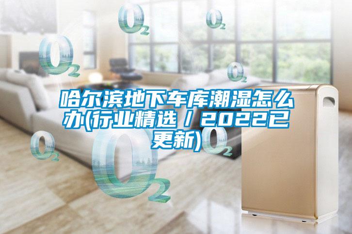 哈爾濱地下車(chē)庫潮濕怎么辦(行業(yè)精選／2022已更新)