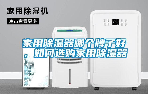 家用除濕器哪個(gè)牌子好，如何選購家用除濕器