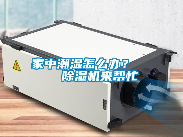 家中潮濕怎么辦？    除濕機來(lái)幫忙