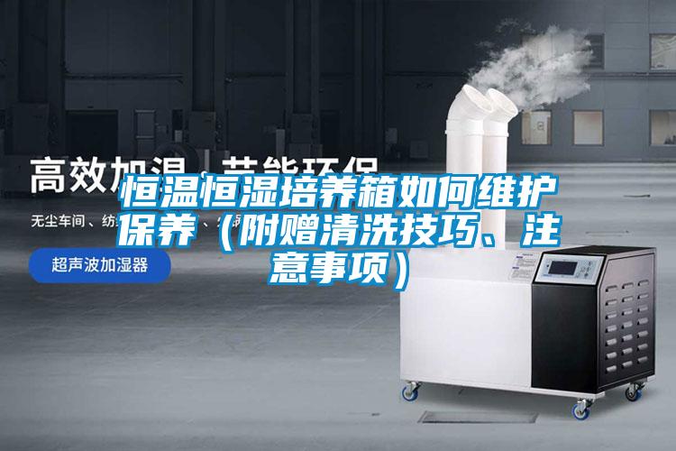 恒溫恒濕培養箱如何維護保養（附贈清洗技巧、注意事項）