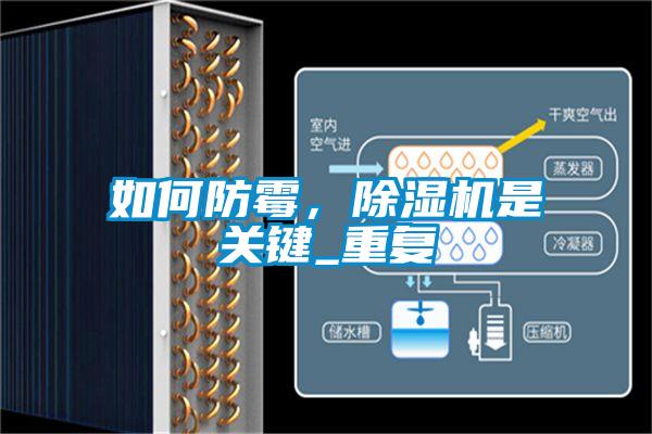 如何防霉，除濕機是關(guān)鍵_重復