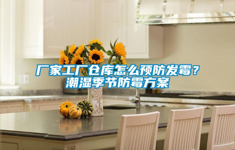 廠(chǎng)家工廠(chǎng)倉庫怎么預防發(fā)霉？潮濕季節防霉方案