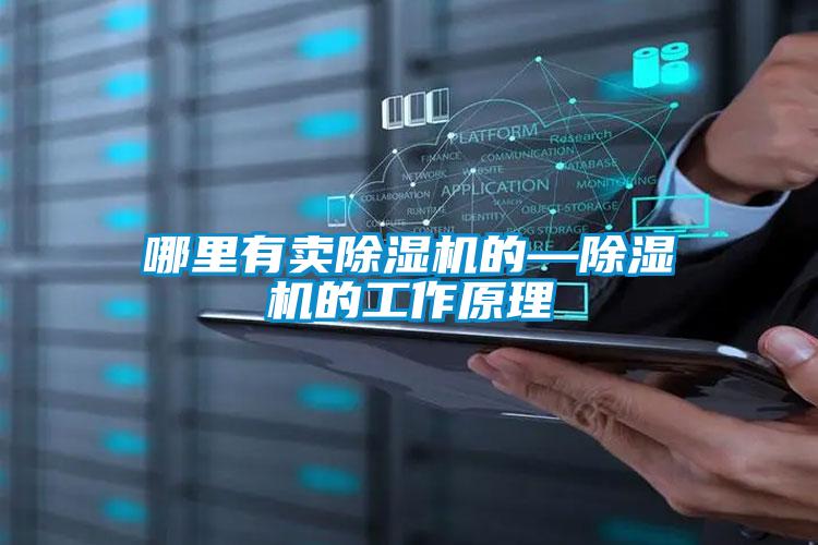 哪里有賣(mài)除濕機的—除濕機的工作原理