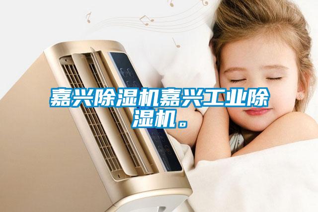 嘉興除濕機嘉興工業(yè)除濕機。