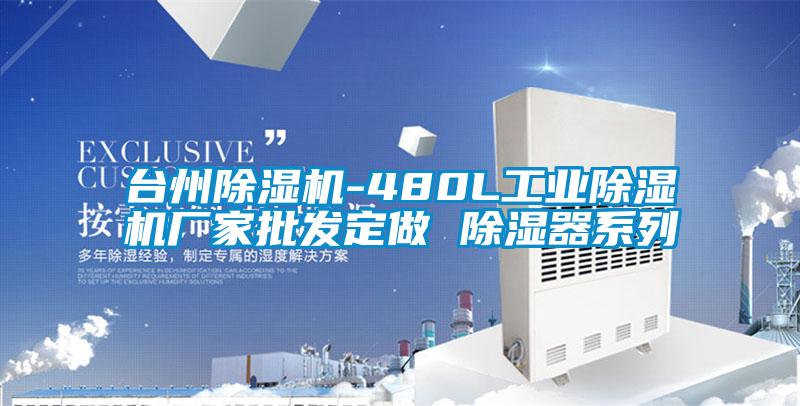 臺州除濕機-480L工業(yè)除濕機廠(chǎng)家批發(fā)定做 除濕器系列