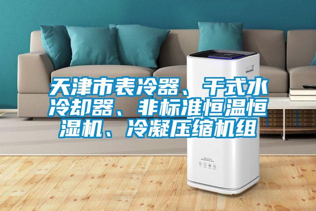 天津市表冷器、干式水冷卻器、非標準恒溫恒濕機、冷凝壓縮機組