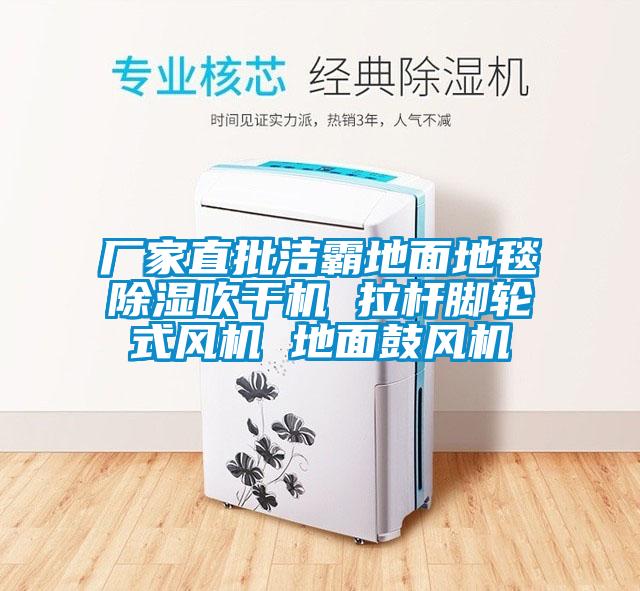 廠(chǎng)家直批潔霸地面地毯除濕吹干機 拉桿腳輪式風(fēng)機 地面鼓風(fēng)機