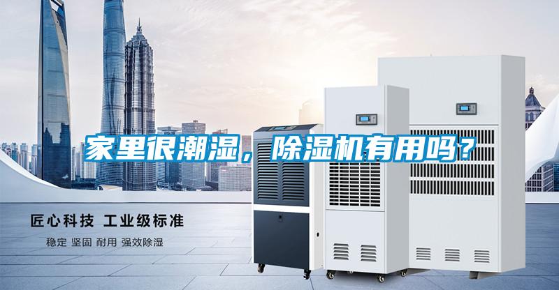 家里很潮濕，除濕機有用嗎？