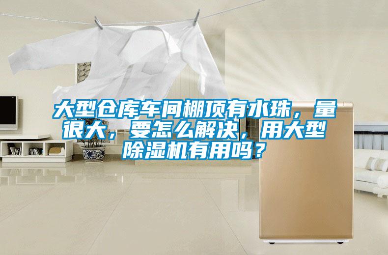 大型倉庫車(chē)間棚頂有水珠，量很大，要怎么解決，用大型除濕機有用嗎？
